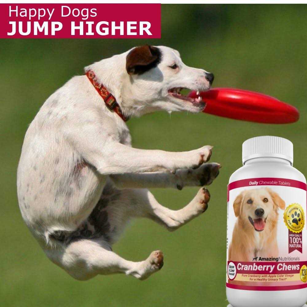 Cranberry for Dogs Pet Antioxidant A8163