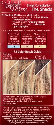 Toasted Coconut Home Hair Color and Highlights Kit I575