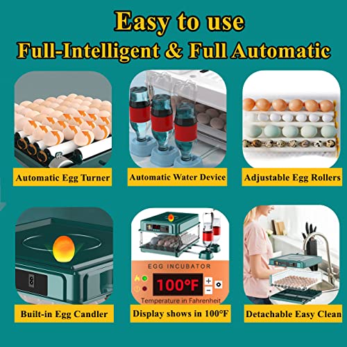 24-60 Eggs Automatic Incubator L202