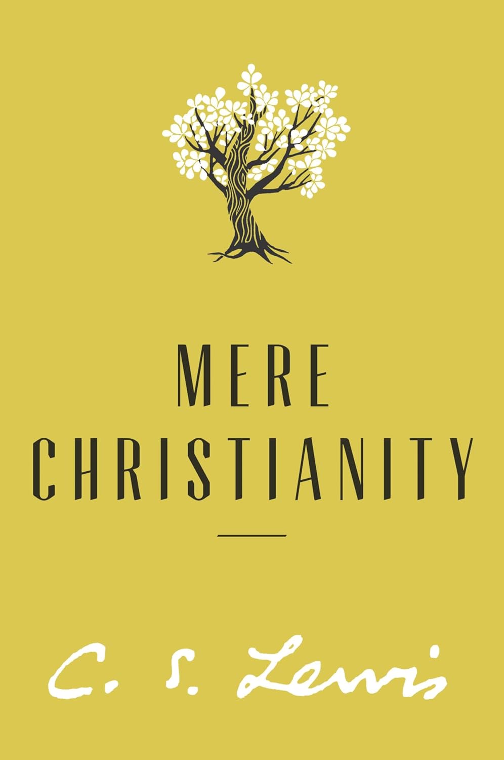 Mere Christianity W580