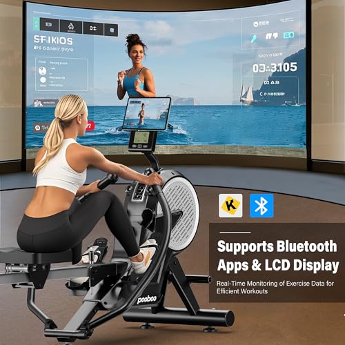Dual Wind & Magnetic Resistance Foldable Rowing Machine G754