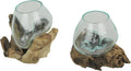 Set of 2 Glass and Teak Driftwood Decorative Bowls P177923