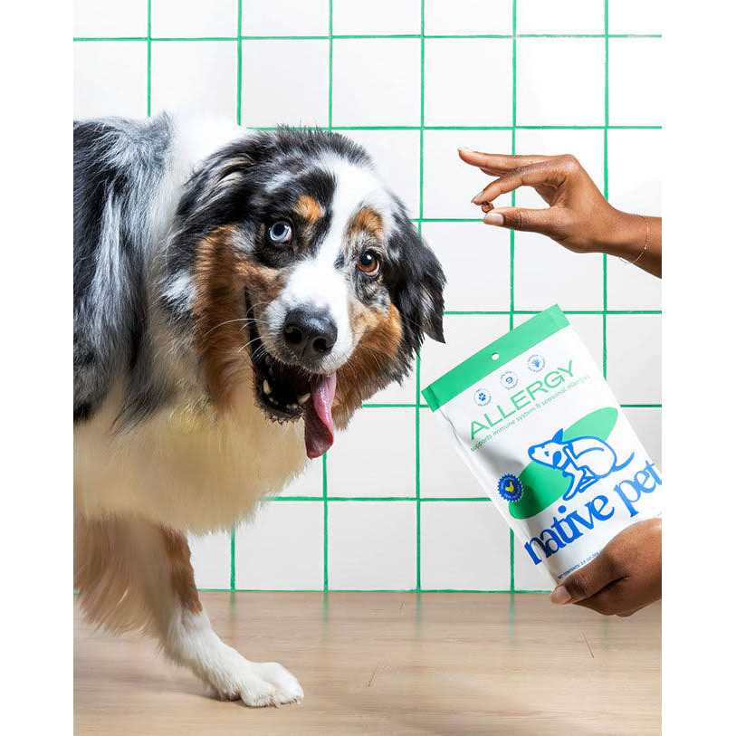 Allergy Chews for Dogs R716292