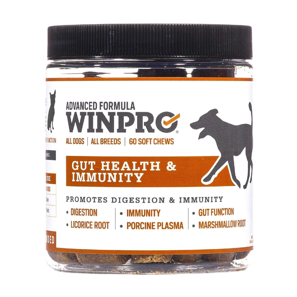 60 Chews Natural Blood Protein Supplements for Dogs V366