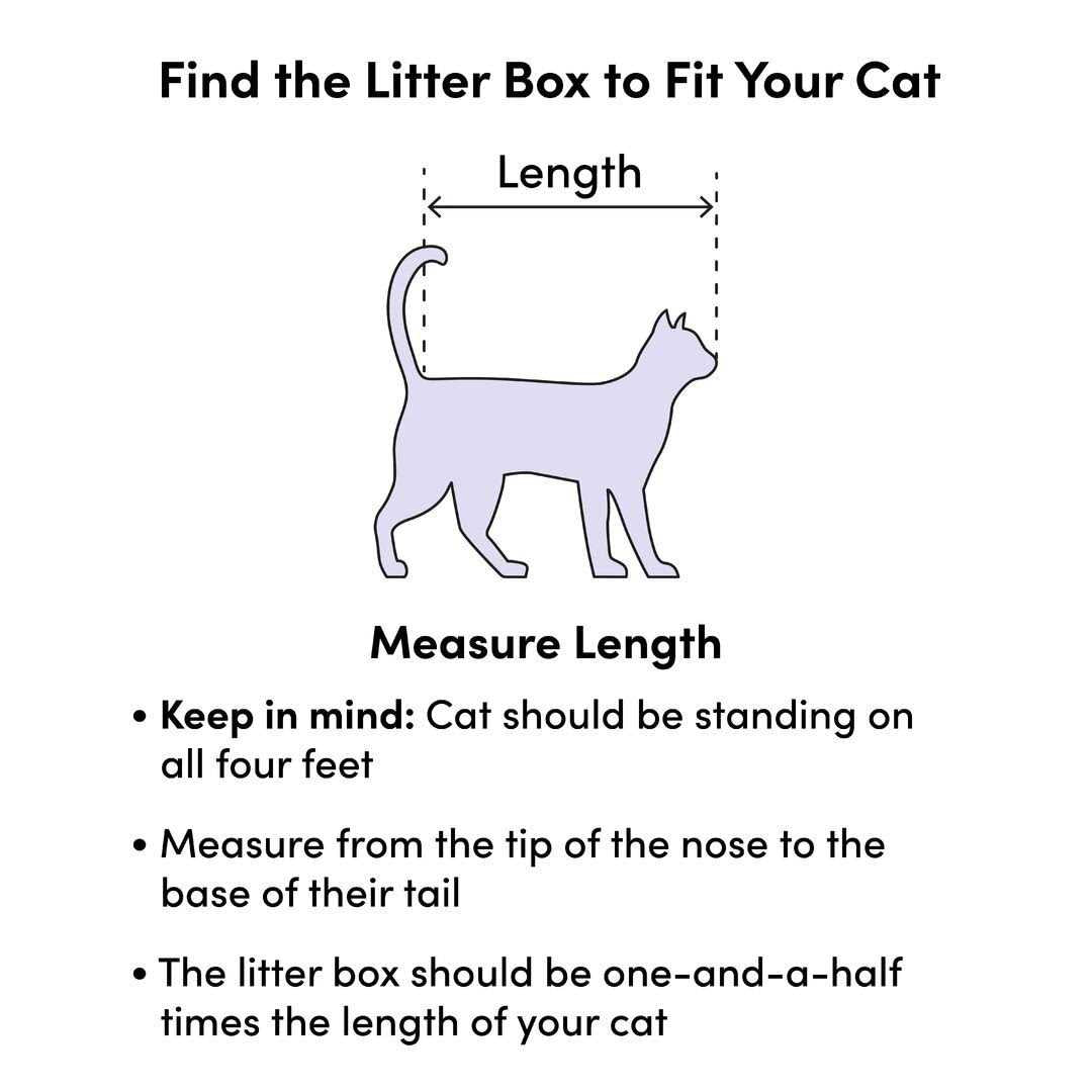 Sifting Cat Litter Box C520987