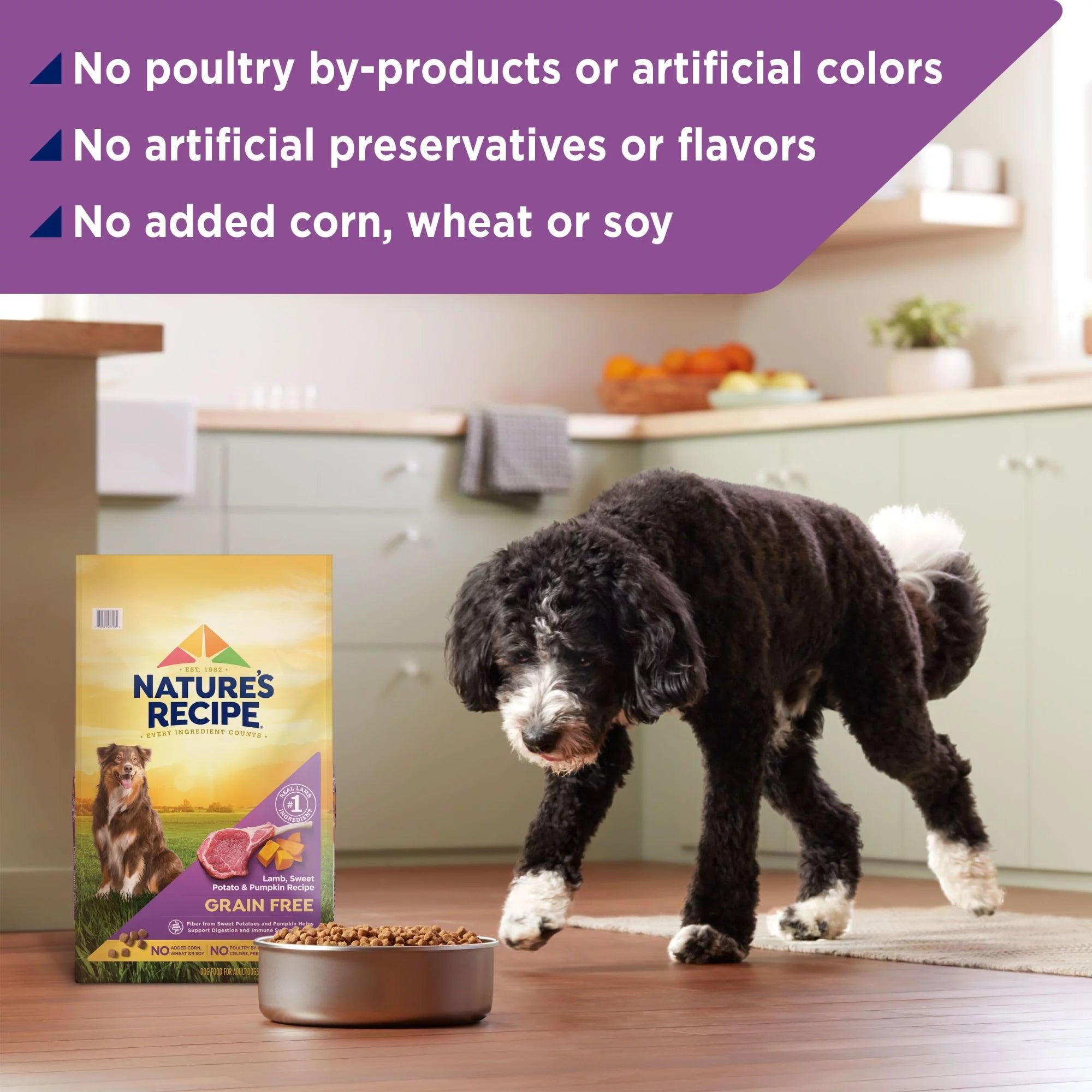 Grain Free Lamb, Sweet Potato & Pumpkin Dry Dog Food, 4 lb. Bag N6169