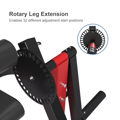 Adjustable Plate Loaded Leg Extension and Leg Curl Machine X377249