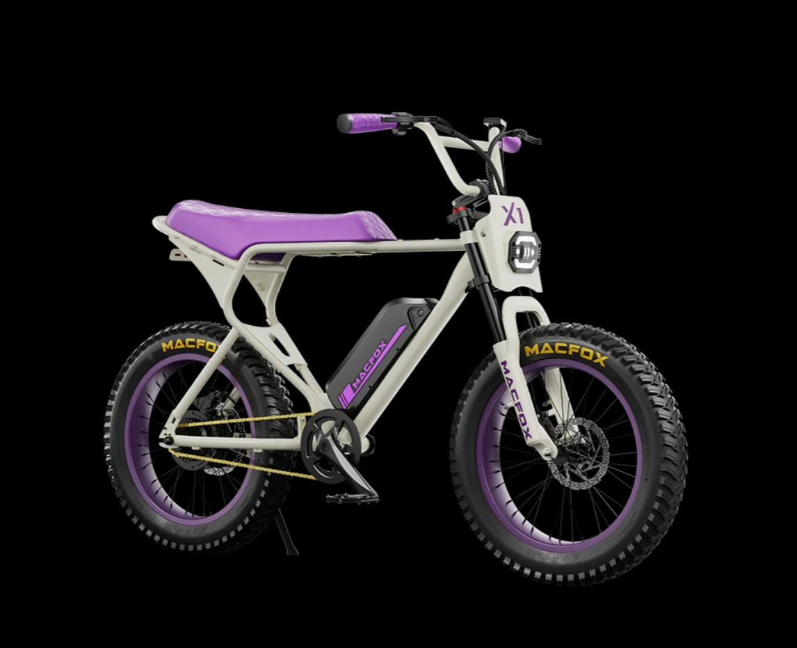 E-bike N806638