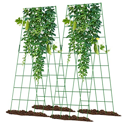 A-Frame Garden Trellis for Climbing Plants K775