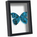Black Shadow Box Frame 11x14 with Real Glass J89523