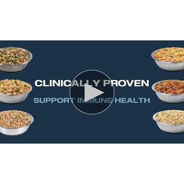 Renal Support Low Protein Shelf-Stable Fresh Dog Food Y30468