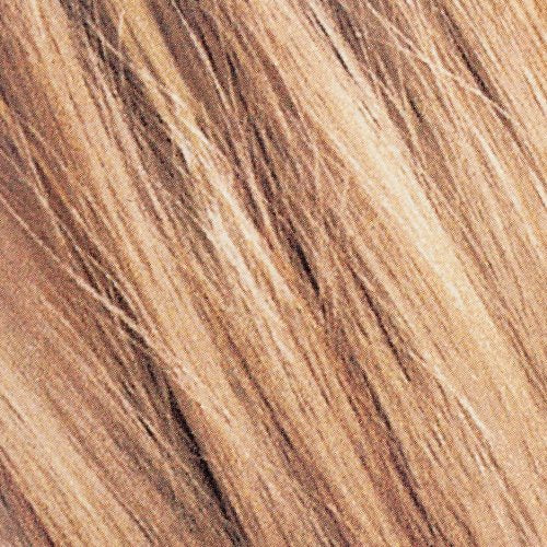 Toasted Coconut Home Hair Color and Highlights Kit I575