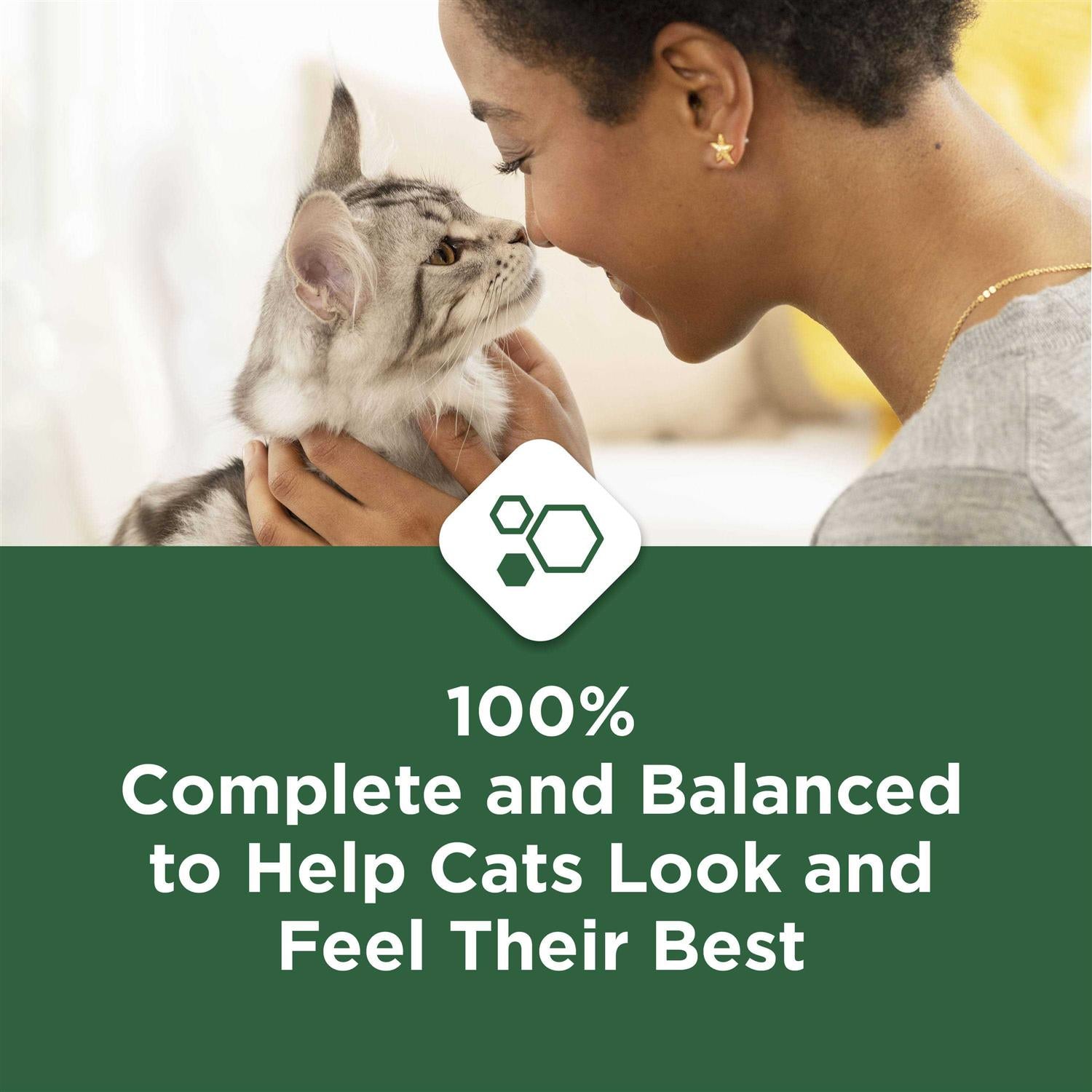 Indoor Dry Cat Food N60213