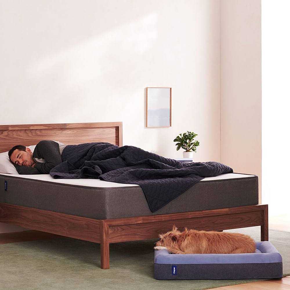Casper Dog Bed Z28015