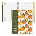 Large Spiral Bound Dated Calendar Organizer, 9 x 7.5 T83829