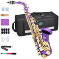 Black/Golden Alto Saxophone E Flat Sax Full Kit with Carrying Case J4573