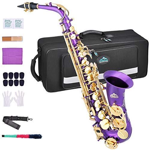 Black/Golden Alto Saxophone E Flat Sax Full Kit with Carrying Case J4573