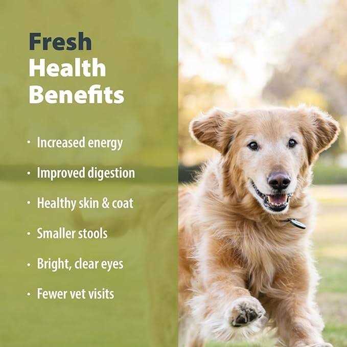 Balanced Remedy Frozen Dog Food U492
