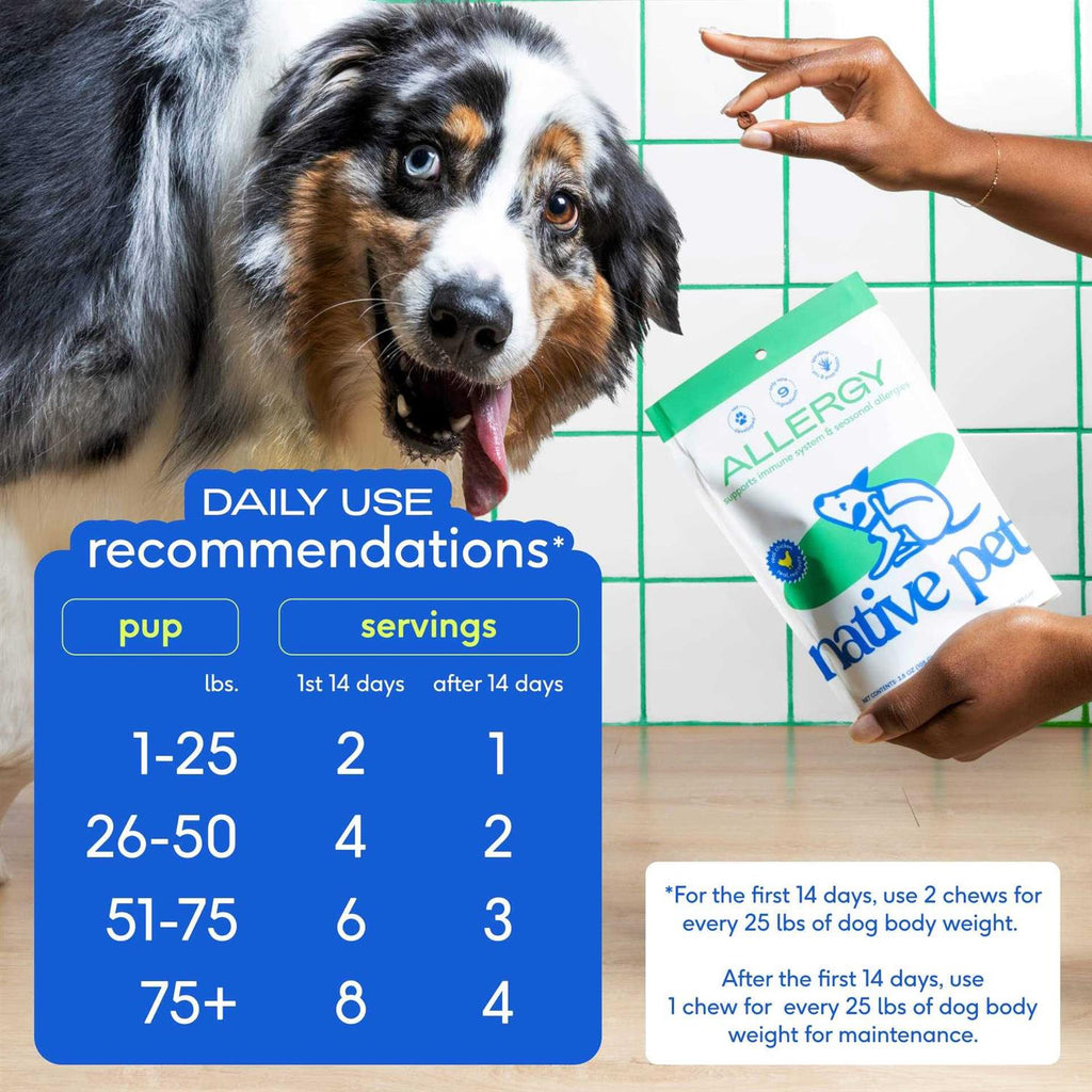 Allergy Chews for Dogs R716292