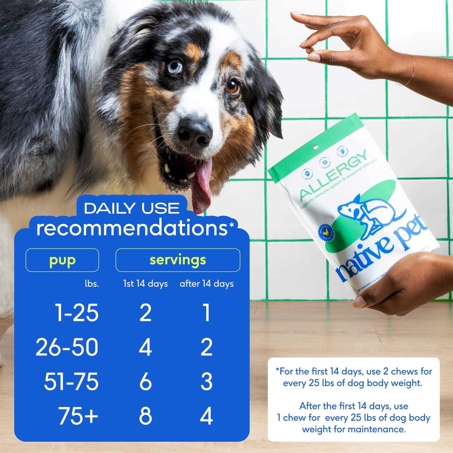 Allergy Chews for Dogs R716292
