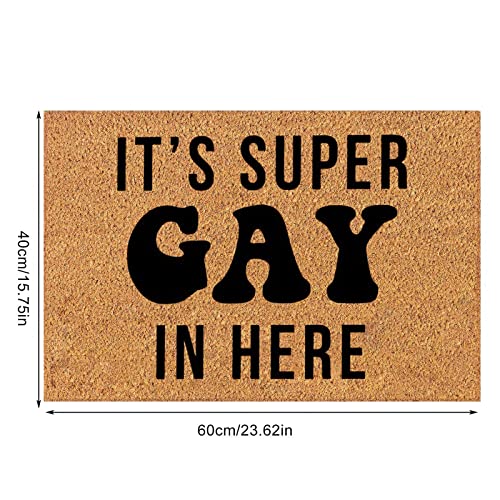 Non Slip Outdoor Door Mat Q543