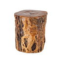 Natural Tree Trunk Stump Stool with Live Edge Solid Wood Plant Stand R684