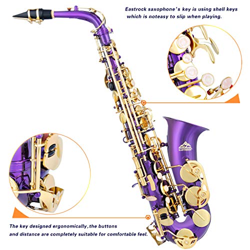 Black/Golden Alto Saxophone E Flat Sax Full Kit with Carrying Case J4573
