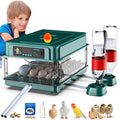 24-60 Eggs Automatic Incubator L202