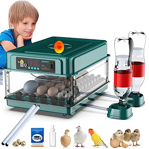 24-60 Eggs Automatic Incubator L202