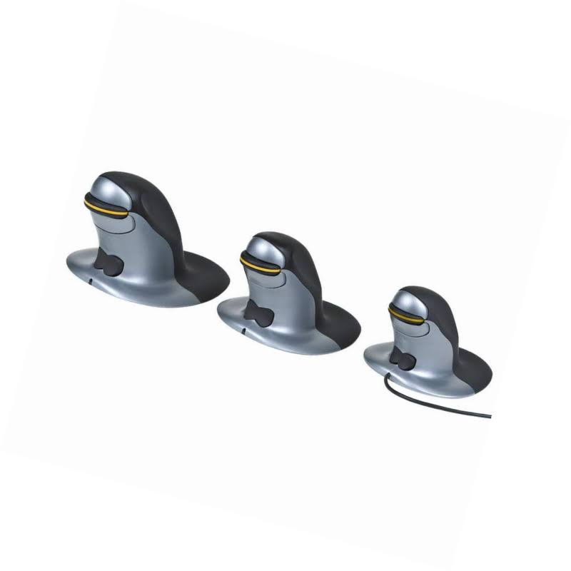 Large Wireless Vertical Mouse Q898