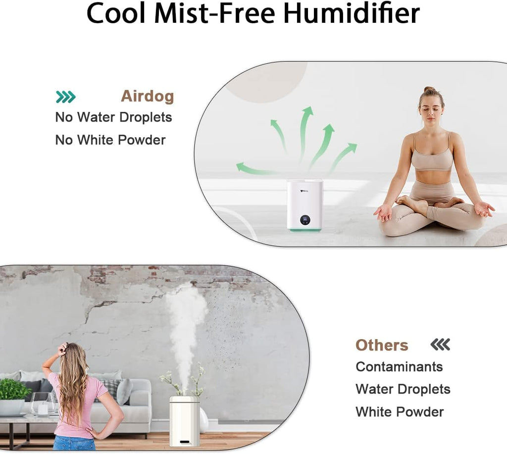 Cool Mist-Free Evaporative Humidifier, 3L Top Fill L639161