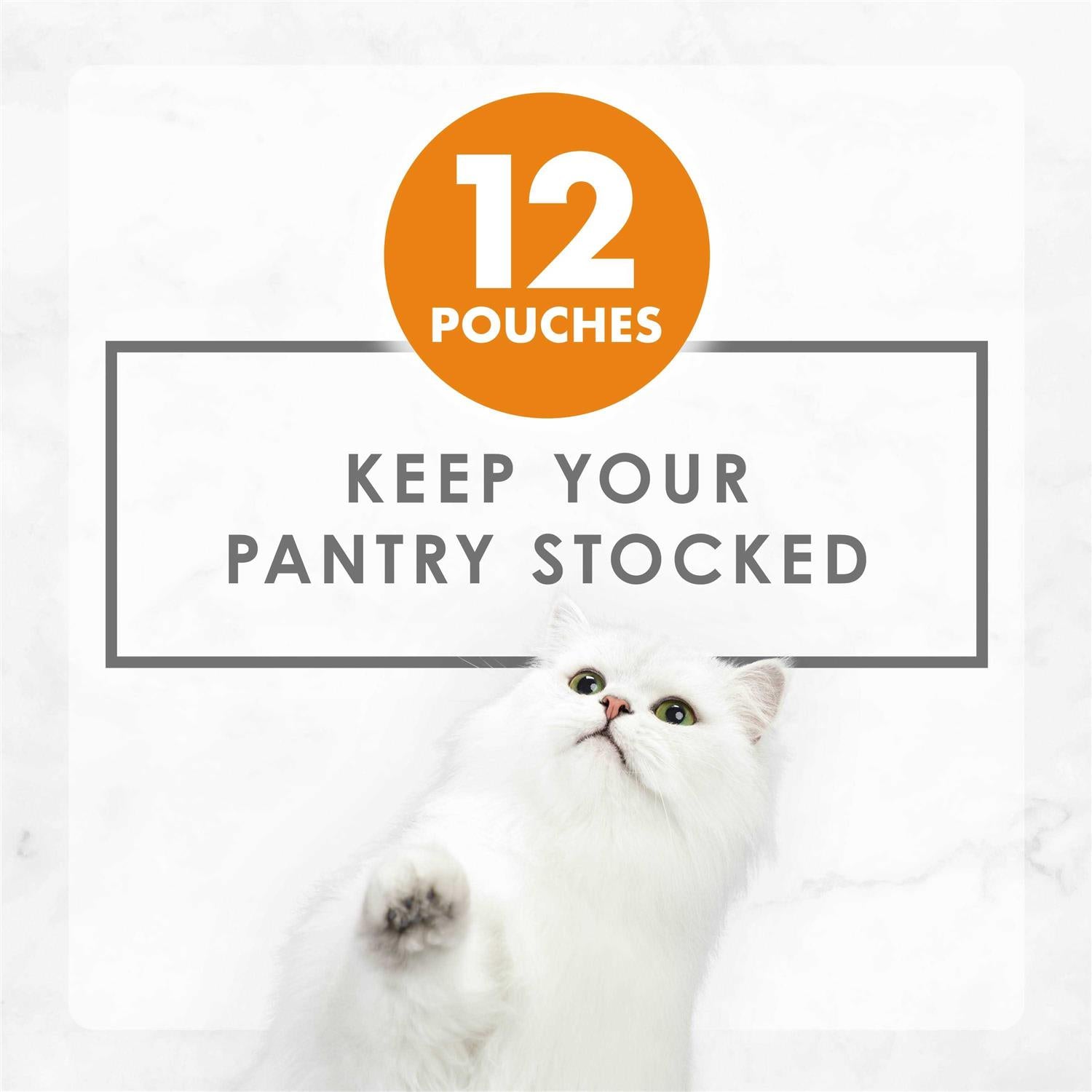 Chicken Complement Wet Cat Food Variety Pack N399452