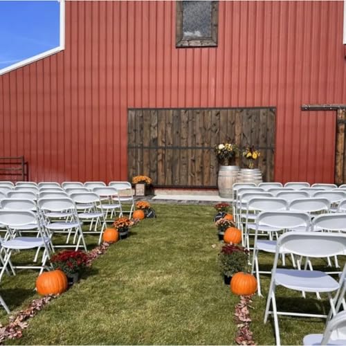White Plastic Folding Chairs 10-Pack W5953