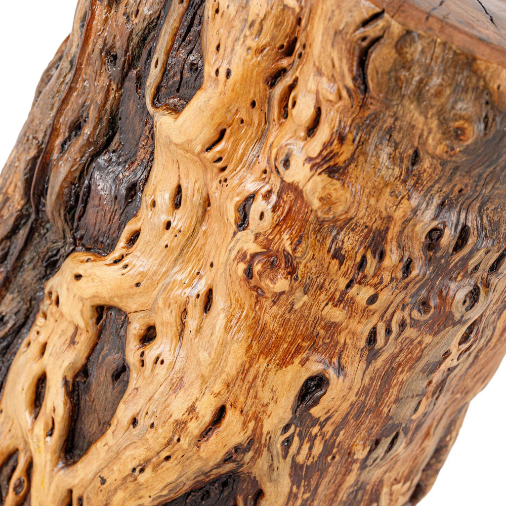 Natural Tree Trunk Stump Stool with Live Edge Solid Wood Plant Stand R684