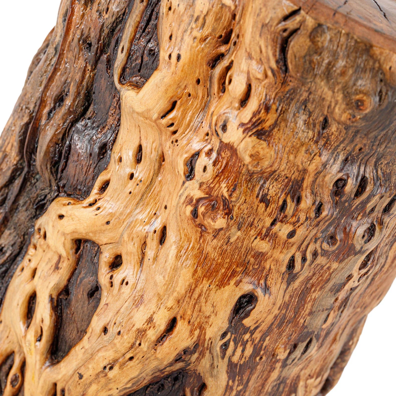Natural Tree Trunk Stump Stool with Live Edge Solid Wood Plant Stand R684