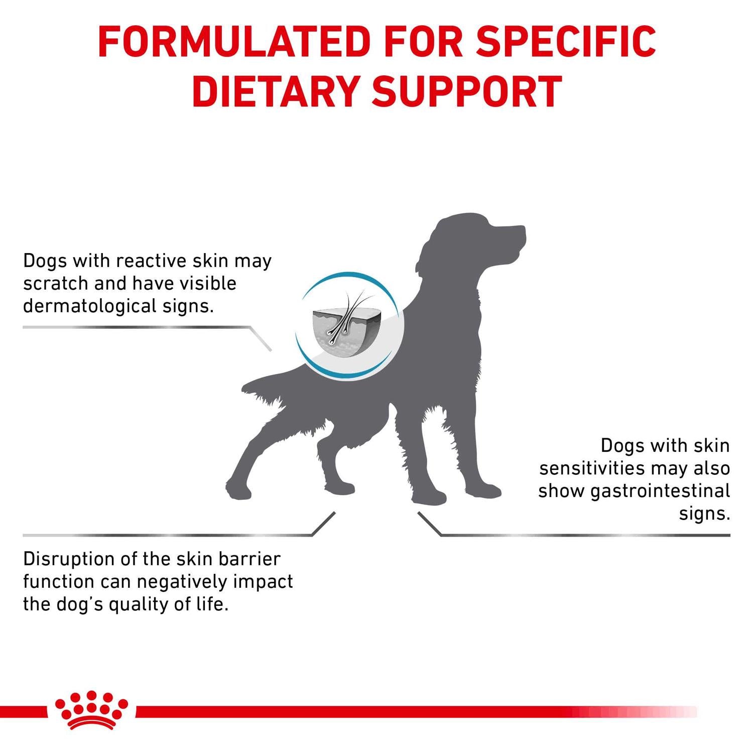 Veterinary Diet Skin Support Dry Dog Food B80515