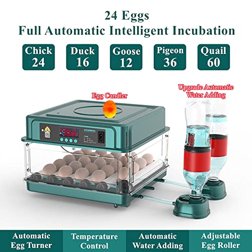 24-60 Eggs Automatic Incubator L202
