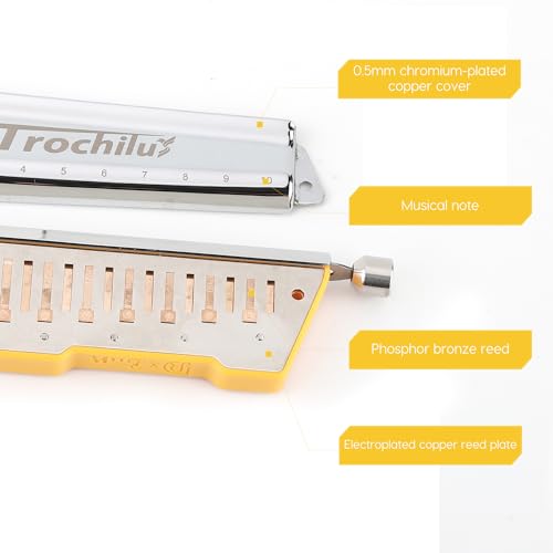 10 Holes Chromatic Harmonica Key of Bb Q758