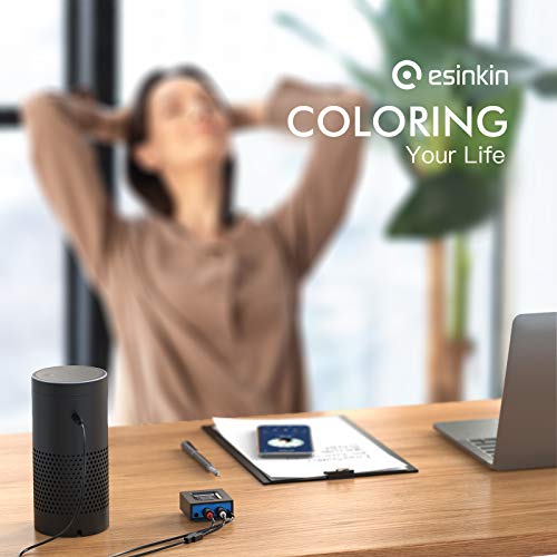 Wireless Audio Receiver for Speakers S7568
