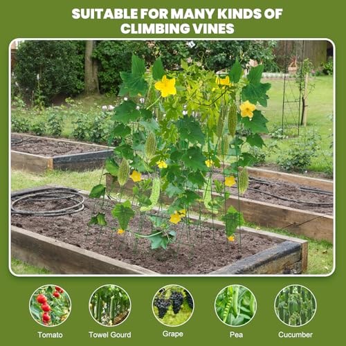 A-Frame Garden Trellis for Climbing Plants K775