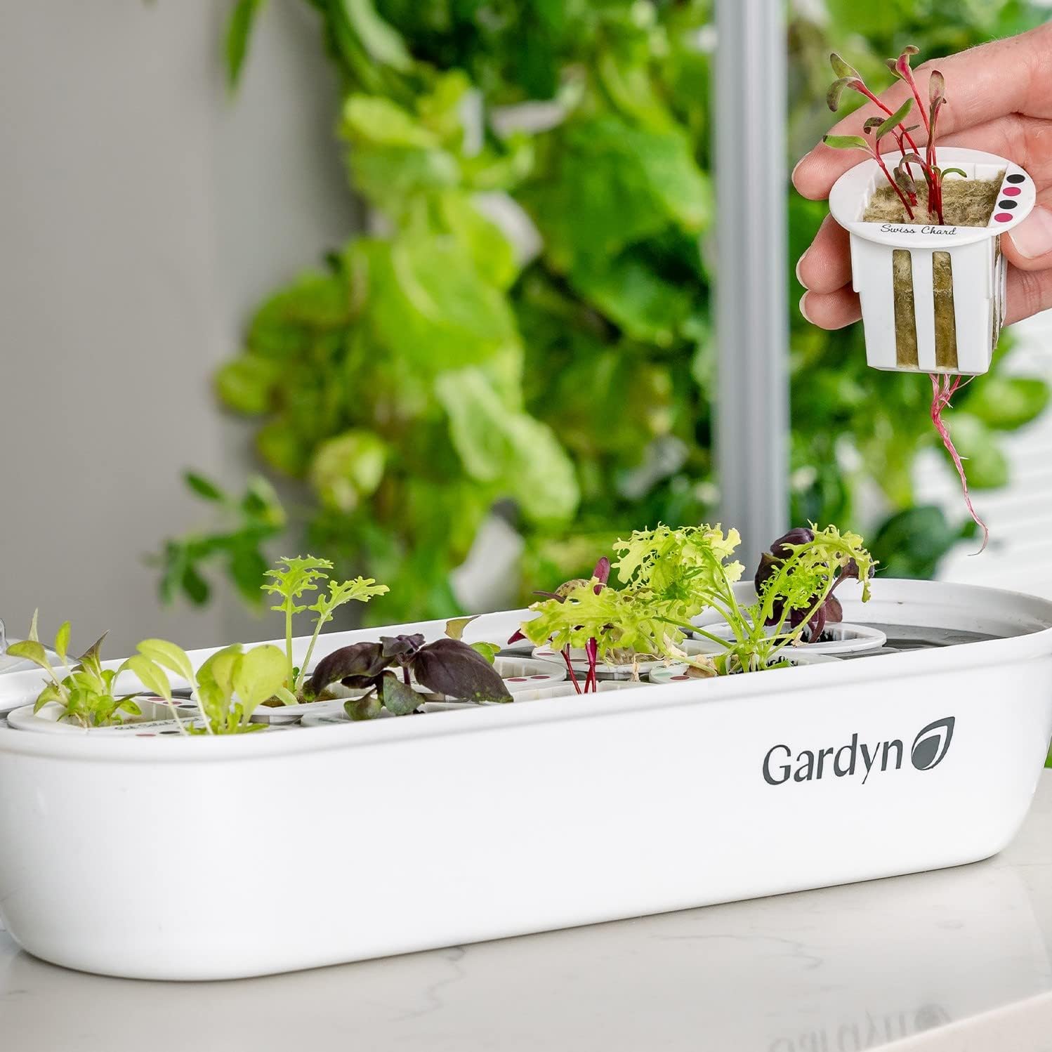 Indoor Garden Seed Starter Tray for Hydroponic Growing Systems J70894