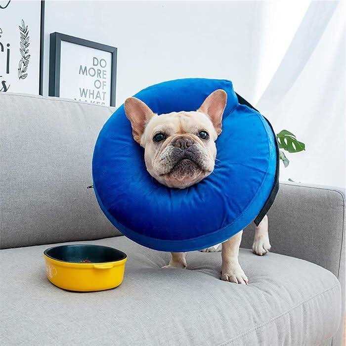 Protective Inflatable Cone Collar for Dogs and Cats C418