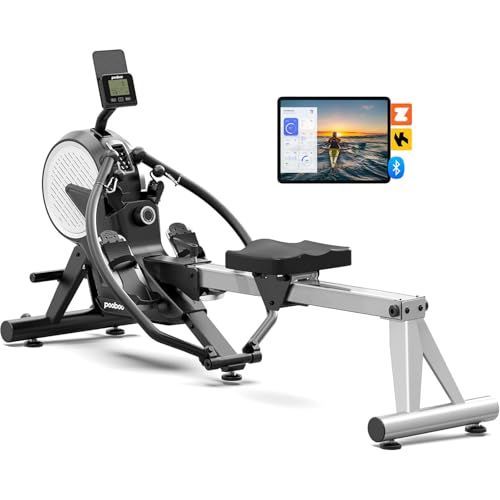 Dual Wind & Magnetic Resistance Foldable Rowing Machine G754