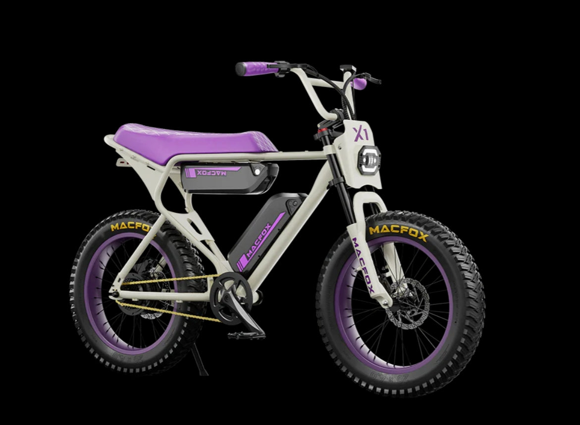 E-bike N806638