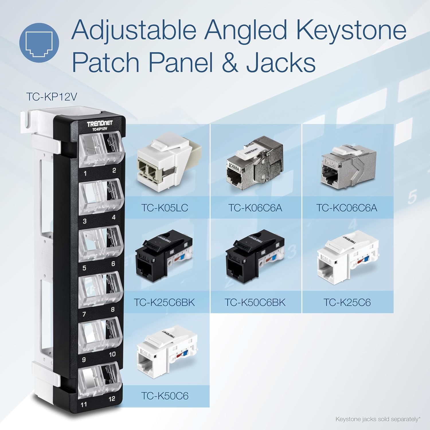 12-Port Blank Angled Wall Mount Keystone Patch Panel I517