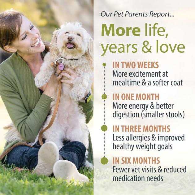 Renal Support Low Protein Shelf-Stable Fresh Dog Food Y30468