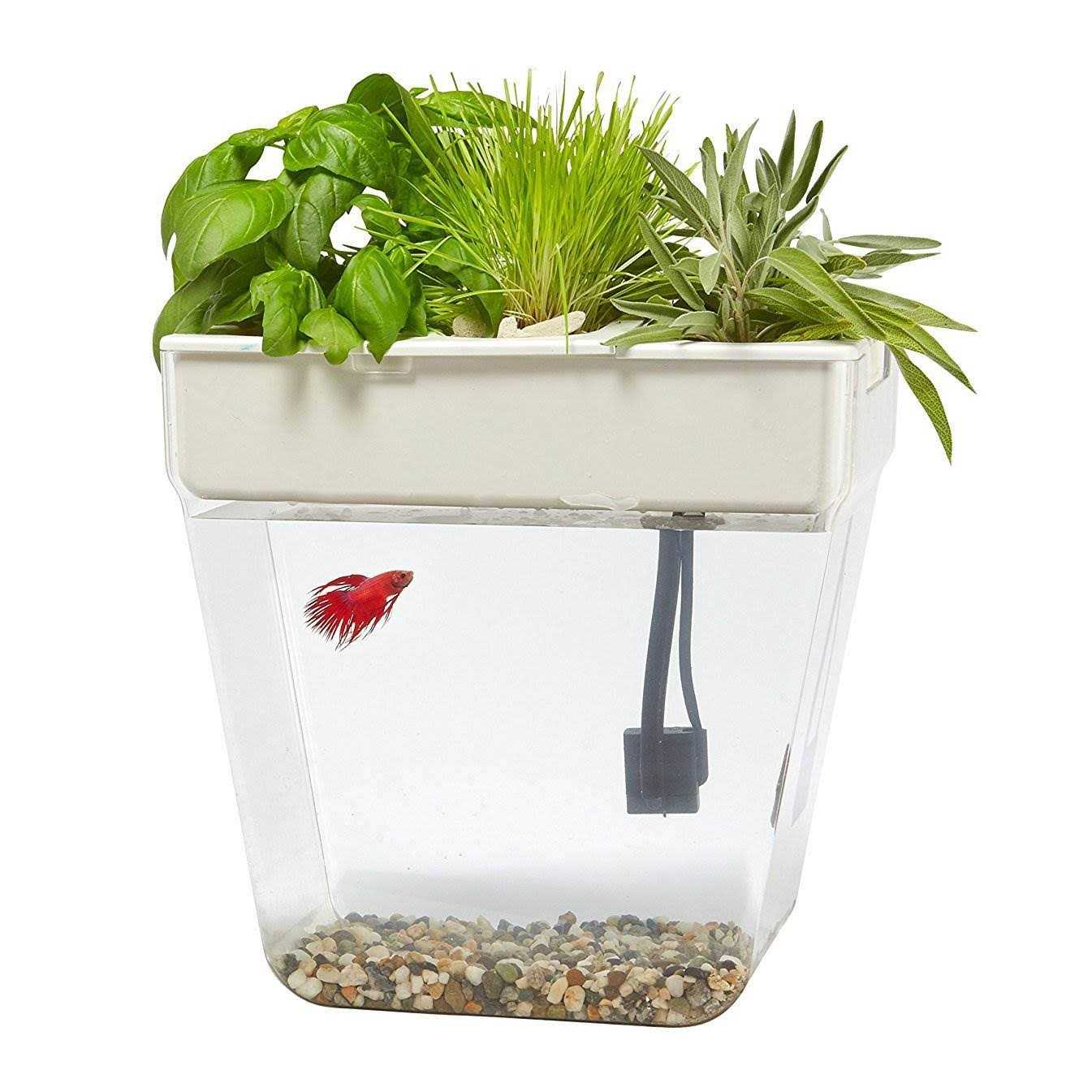 Water Garden Z1026