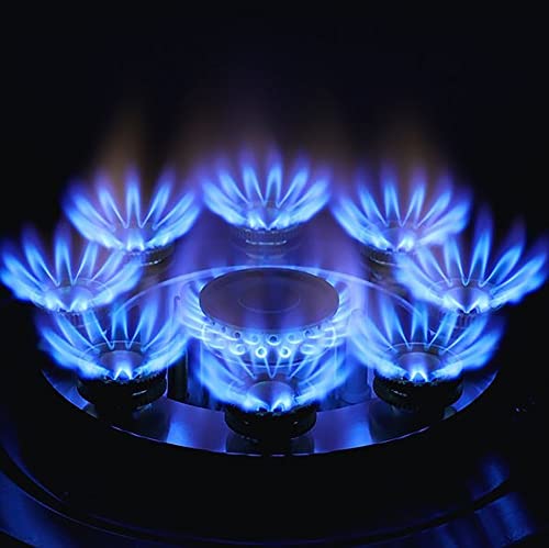 Black Tempered Glass Built-in Gas Cooker G9102