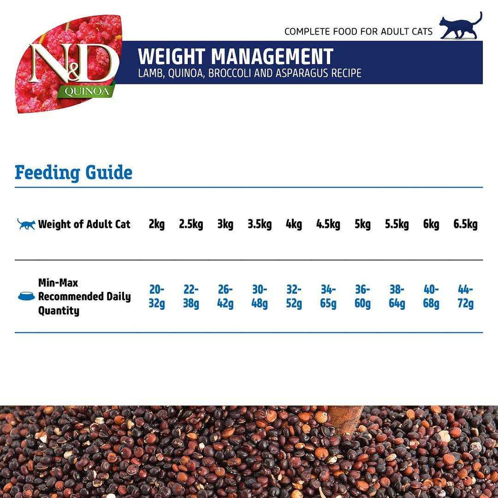 Lamb Dry Cat Food Y76220