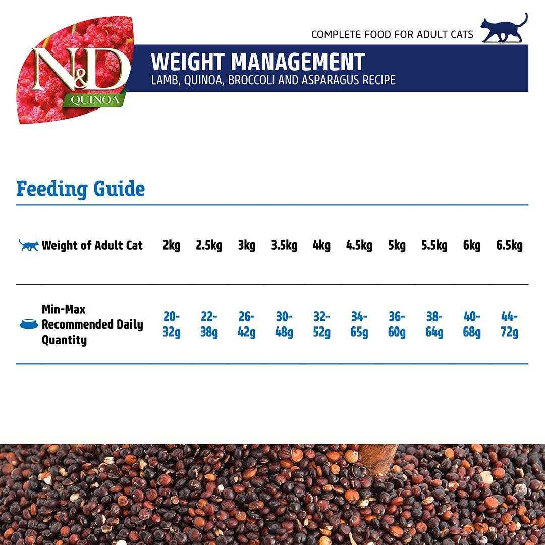 Lamb Dry Cat Food Y76220
